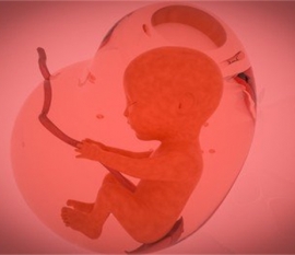 给婴幼儿大连捐卵宝宝添加辅食应避免“四大罪过”